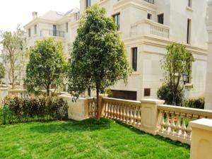 金華住宅與商業(yè)地產(chǎn)租賃市場(chǎng)動(dòng)態(tài)及指南