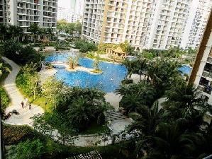 三亞住宅租房市場 房產(chǎn)租賃趨勢與物業(yè)管理要點解析